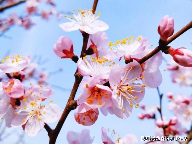 寓什么什么远成语_成语故事图片