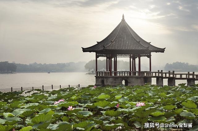 济南gdp直播_济南gdp破万亿图片(3)