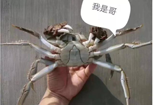 a0227397ad0a4353a4eb2a7554f813ec.jpeg