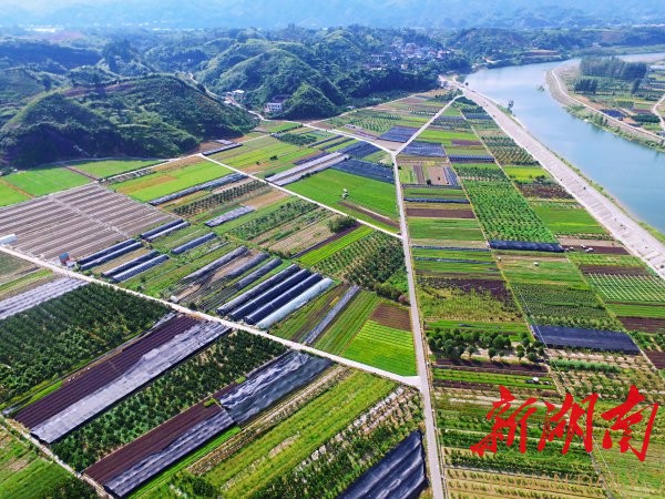 怀化市区人口_怀化市区图片(3)