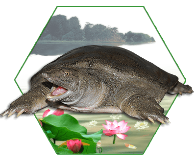 dd90ce53be364ad58e8381b3f4be6e09.png