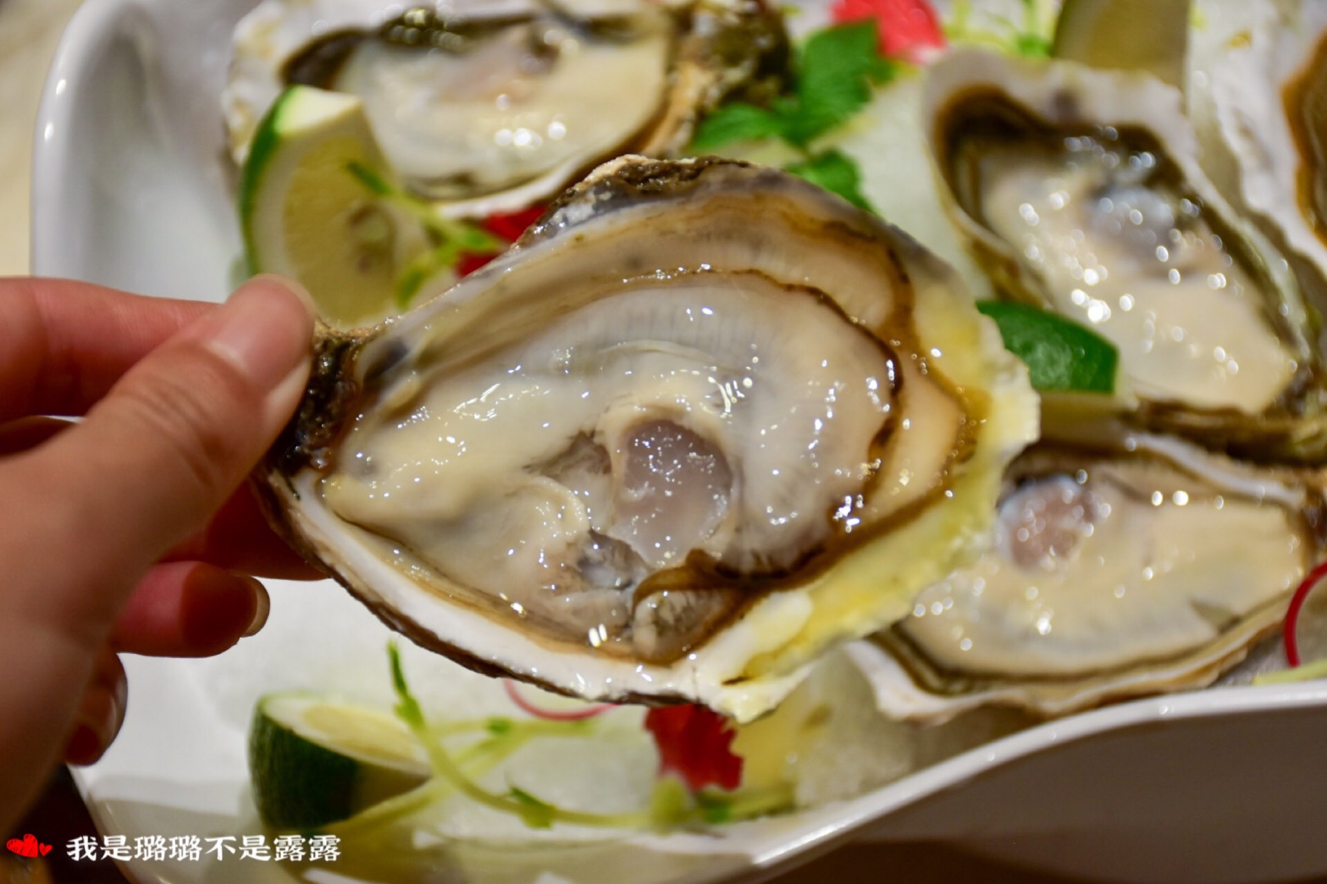 沈阳蚝友汇人均消费_沈阳兰爵名仕汇消费(3)