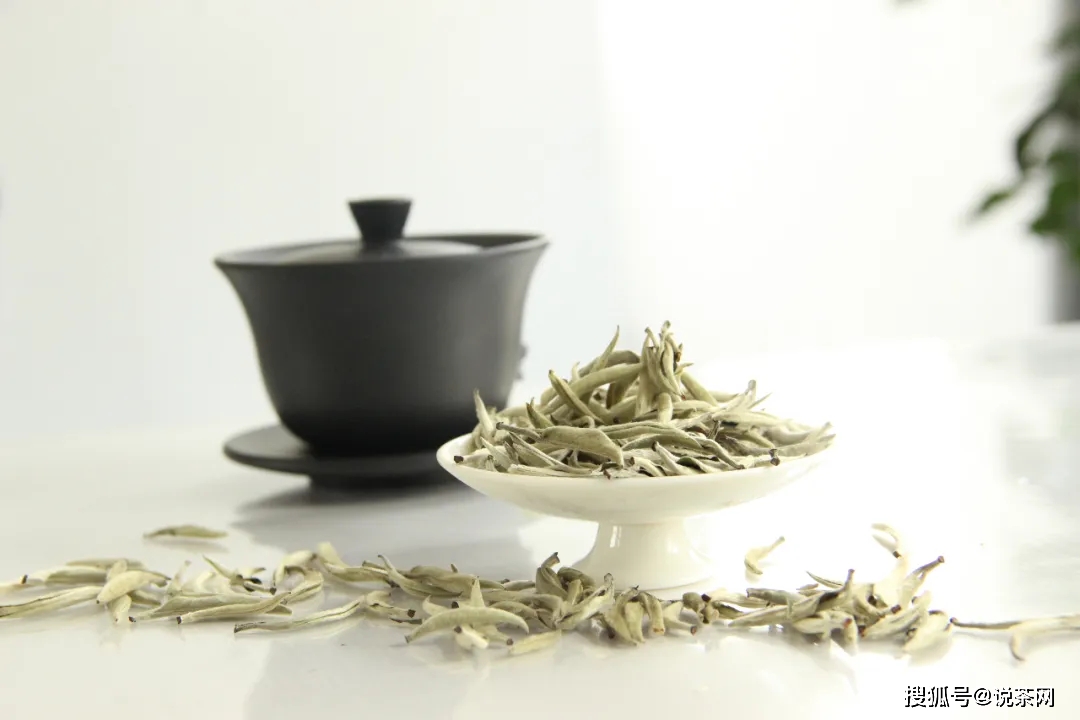 什么|茶友们都在喝什么茶？从小白到资深