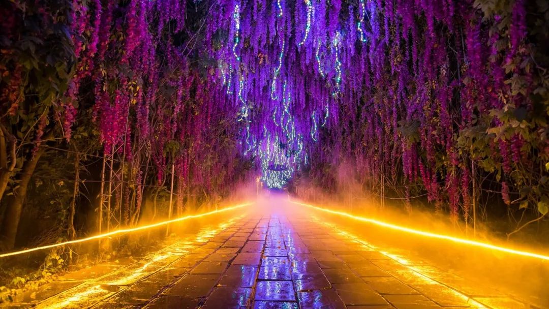 夜晚的南湖公园也是美得像童话一般,若是不信,还是来亲自体验一番吧.