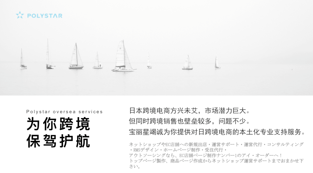 战略规划|宝丽星推进“双轨驱动”战略规划，深耕日本跨境电商运营服务