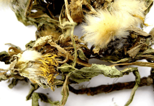 婆婆丁是不是叫蒲公英 bcd62c2e518d4aa2bf7f5bf6c5d656d7.png