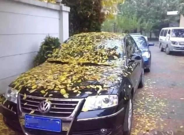 几个月的车子是库存车 deb2c75c9f9a4e4cb221e11962720b06.jpeg