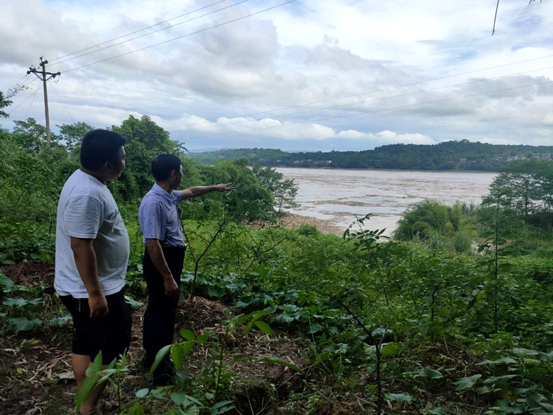 朱杨镇|江津区朱杨镇闻“汛”而动全力抗洪抢险 平安挺过本次洪峰