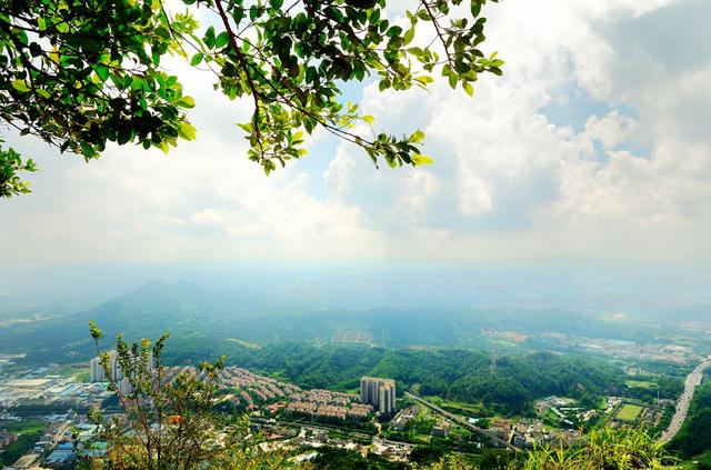 广东人口最多的五个城镇，东莞虎门仅排第三，第一名就在佛山