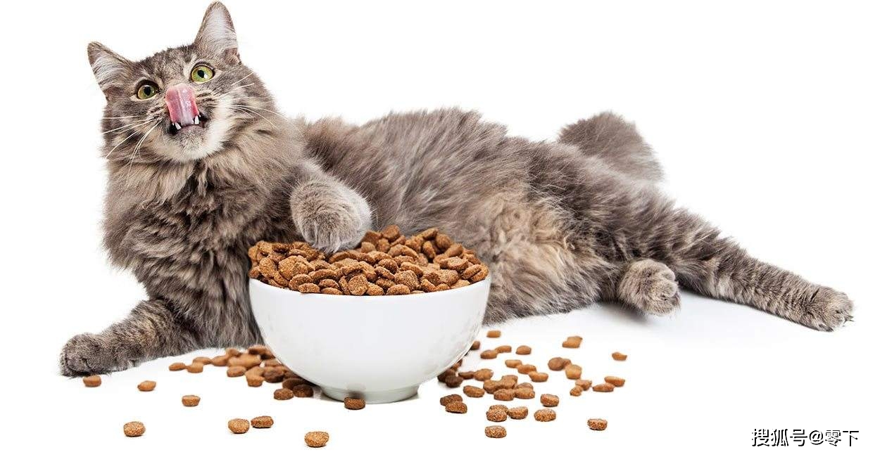 05151bd5ddfb4402939df218c2e4ef66.jpeg