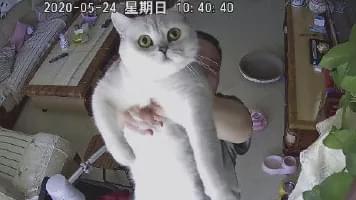 b3fe2773c4194726bb4d01fcd5924521.jpeg