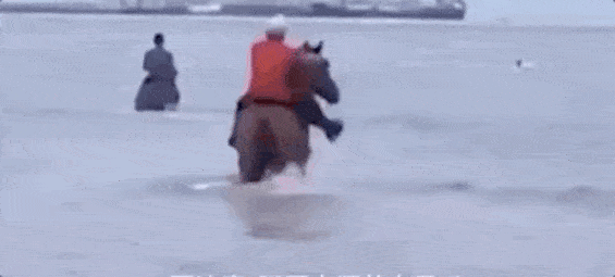 565_255gif 动态图 动图