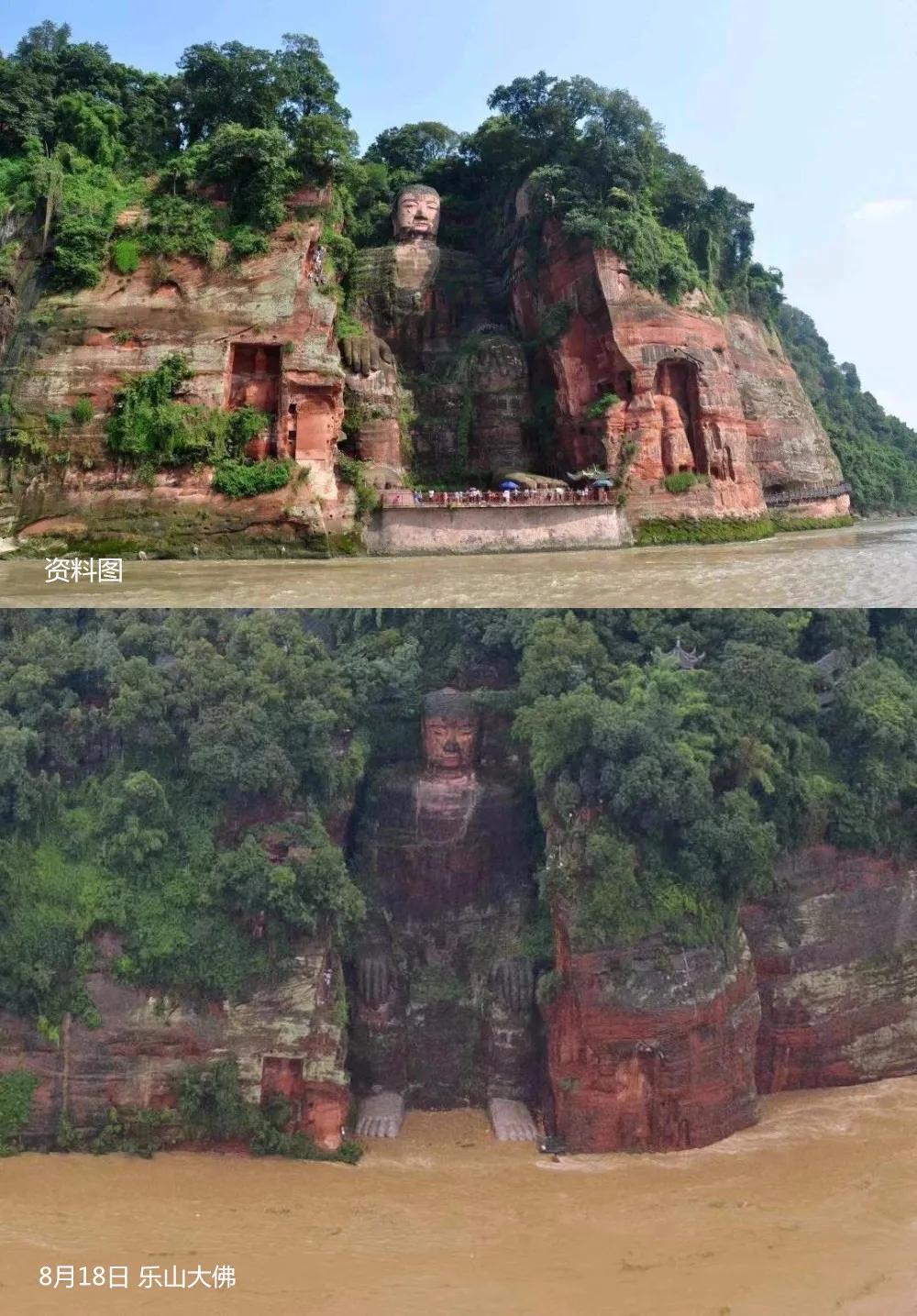 1949年来首次乐山大佛被洪水淹至脚趾当地紧急救援上千名群众