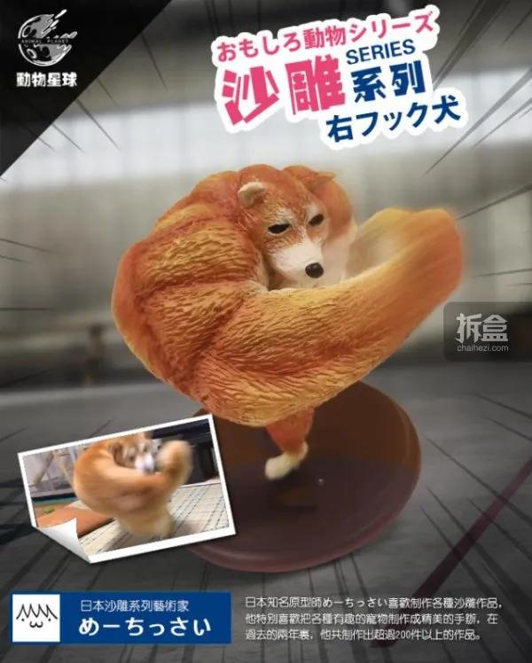 动物星球沙雕系列更新啦
