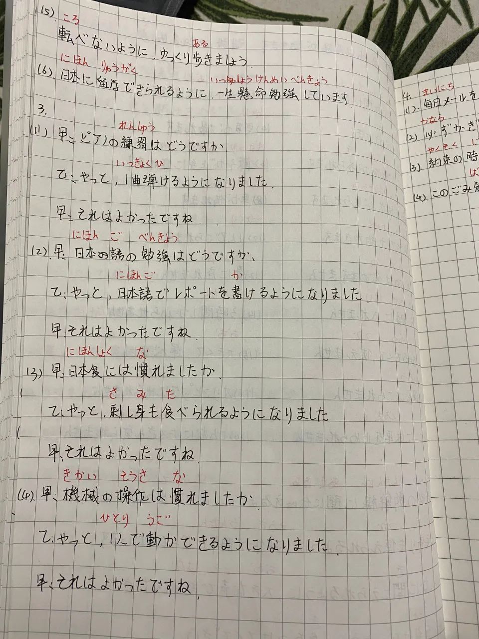 羊驼简谱_羊驼图片可爱(3)