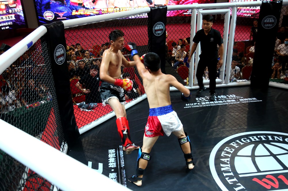 2020WUFC世界终极格斗联赛·拳王争霸在南阳成功举办