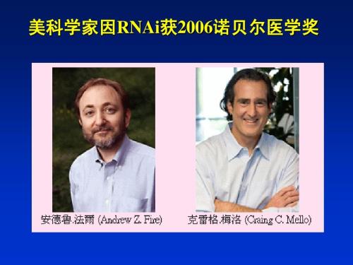 乙肝新药研发结果积极，衣壳调节剂回顾中，RNAi沉默HBVRNA转录物
