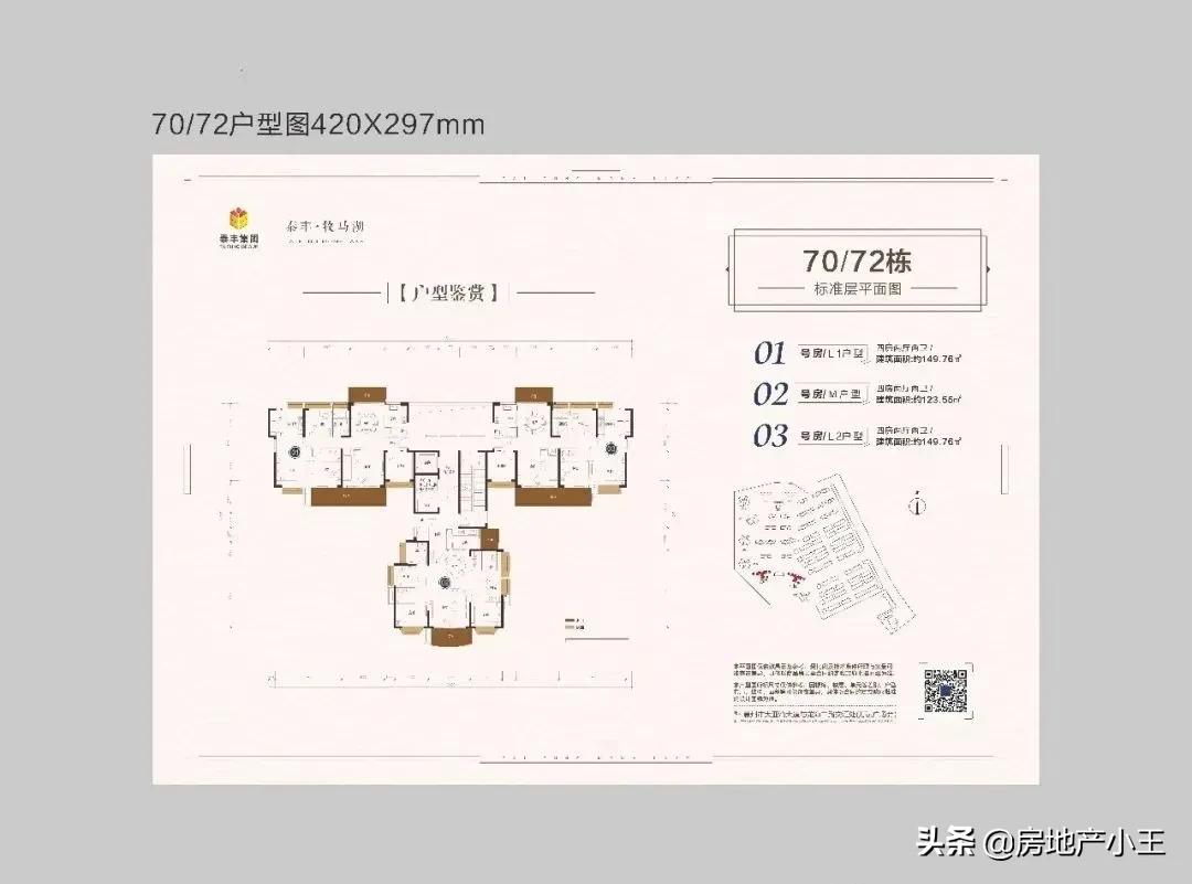 惠州【泰丰牧马湖】为何被众说纷纭!究竟有什么规划?难怪那么火爆!