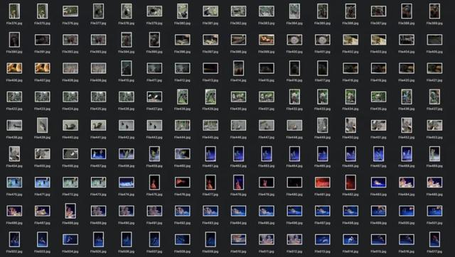 Rescue|拯救SD卡消失的数据｜嗜物志