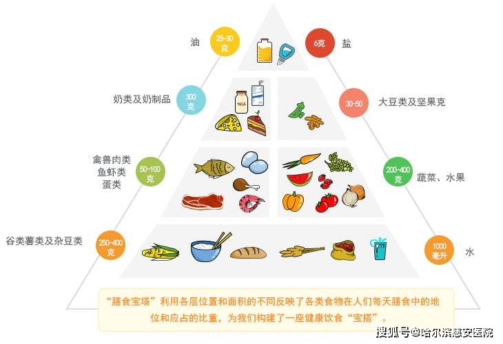 【养生】平衡膳食的概念和"宝塔"_手机搜狐网