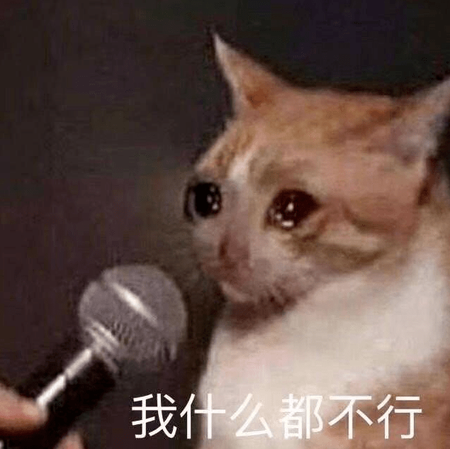 表情包:今天我也是一只棒棒的小猫咪