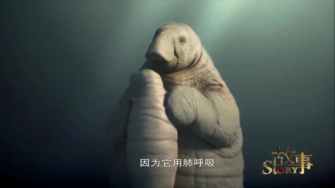 彭阳|你没见过的“东方美人鱼” 穿越时空的她出土于宁夏彭阳