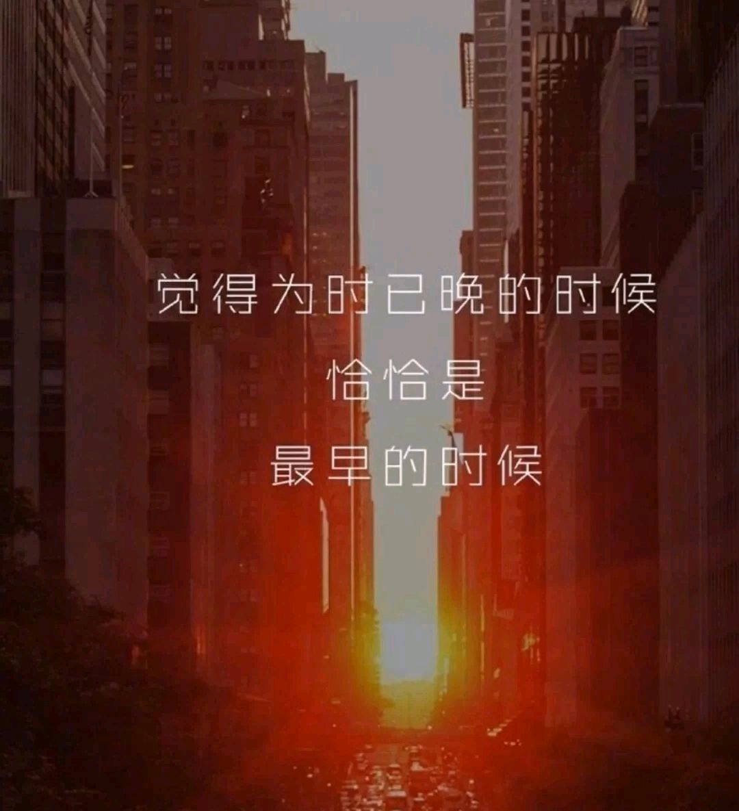 沉淀于心的扎心句子,阳光励志,治愈人生