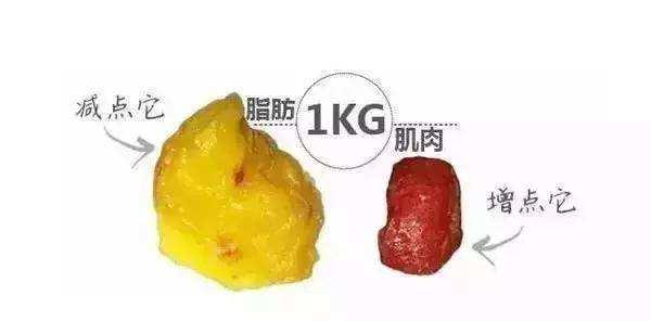 82e416984b99407dac6bf0e724a2f029.jpeg
