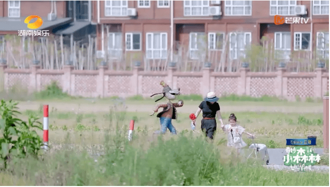 森林|安利一档清新自然的综艺《奇妙小森林》