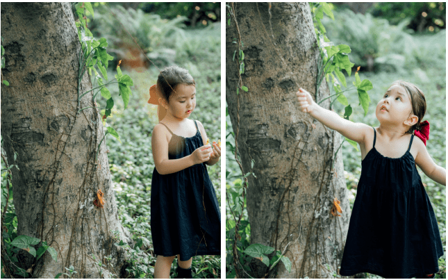 森林|安利一档清新自然的综艺《奇妙小森林》