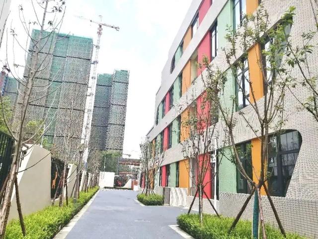 文章配图-46