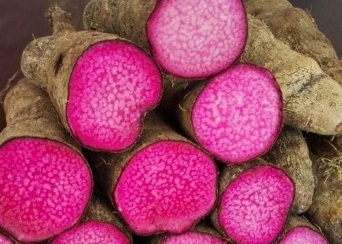 太丑|推荐常吃以下食物，排毒清肠，越吃越瘦！女性肚子鼓鼓太丑