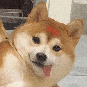 d75eec6b483c44ca92d757661abd2a63.gif
