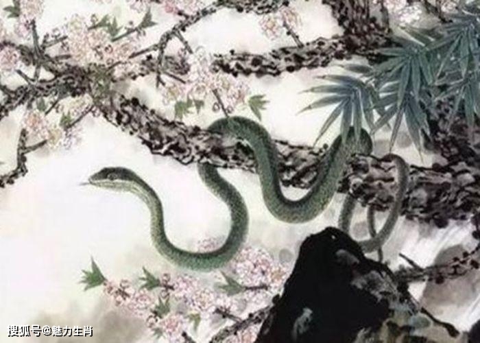 “翻箱倒柜，寻根追底。雨情相锐最难寻”指代表更佳什么生肖谜团精选释义解释