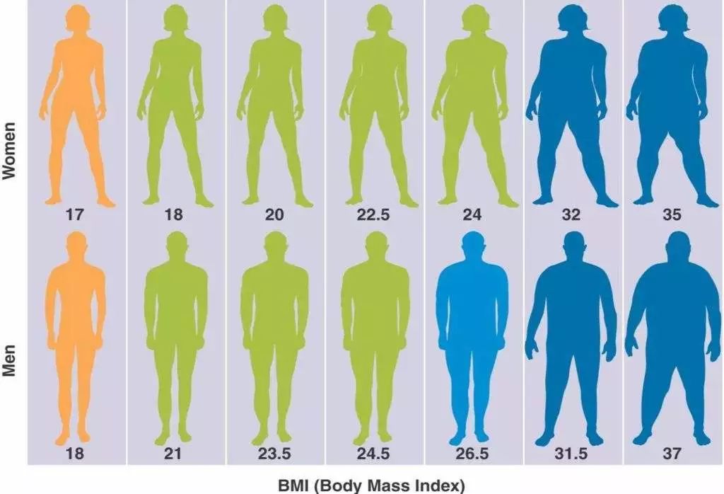 保持正常的体重指数(bmi:18.5-23.9kg/m2)和腰臀比达标(男性 0.
