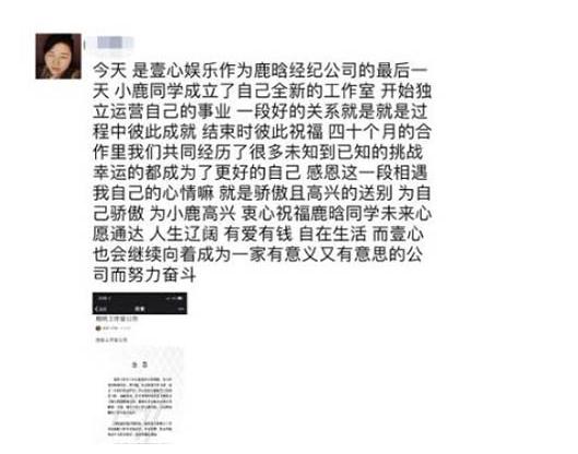 恋情|原创杨天真转行不顺?拿鹿晗恋情说事蹭热度,艺人都被她当摇钱树