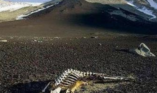 昆仑山死亡谷旅游 276606ced87345b5aa5ed304691d95a0.jpeg