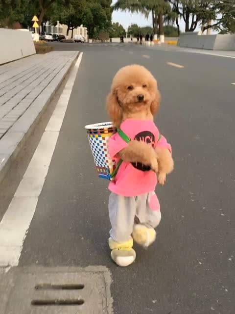 0fd3d384d78740c68ddb8d5e07bdecb6.jpeg
