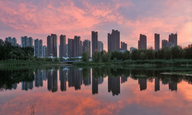 沧州2020GDP_沧州发票图片2020(3)