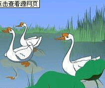 9881f541a5d649c0acaeb5a471d3eb7e.png