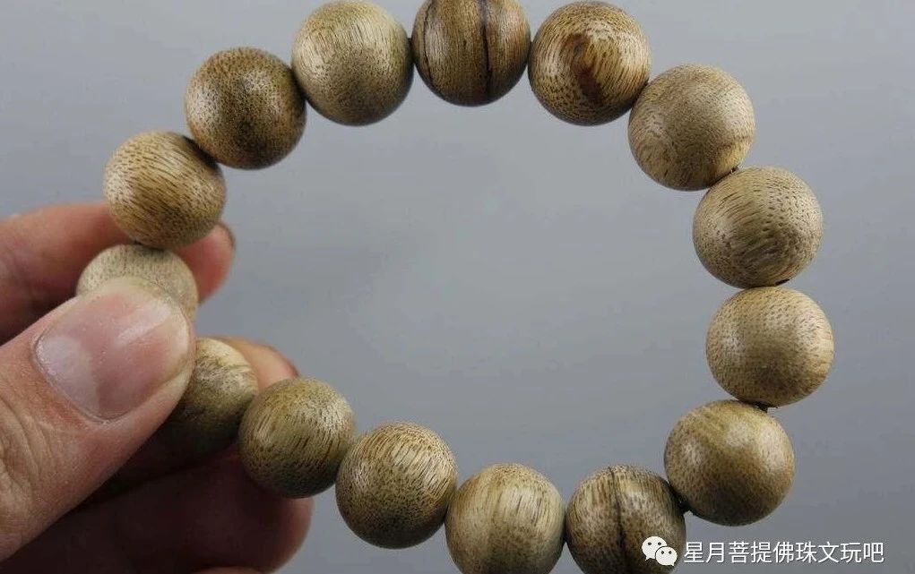 什么是沉香什么是结香 bafa95178eeb4de9a6560ad0db2088f7.jpeg