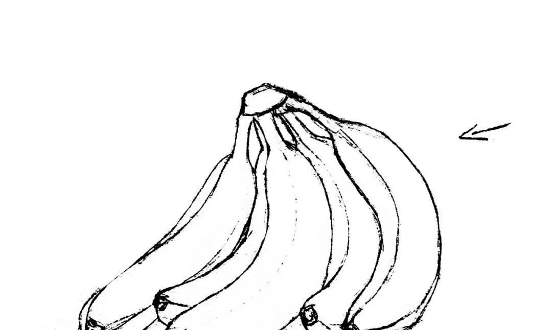 >>>【第2步】:刻画香蕉,用2b铅笔加深香蕉的暗部颜色以及投影,注意