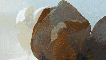 含量|为什么说中国最好的陈皮在江门新会？这次有答案了！