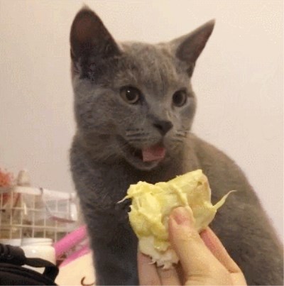 22d82a3540ec4cc9b50d02c50afb12fe.jpeg
