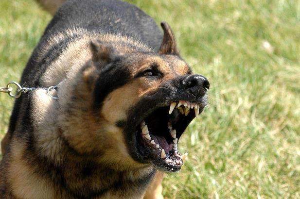 5bb4d0803e104758b44e8e117681f36e.jpeg