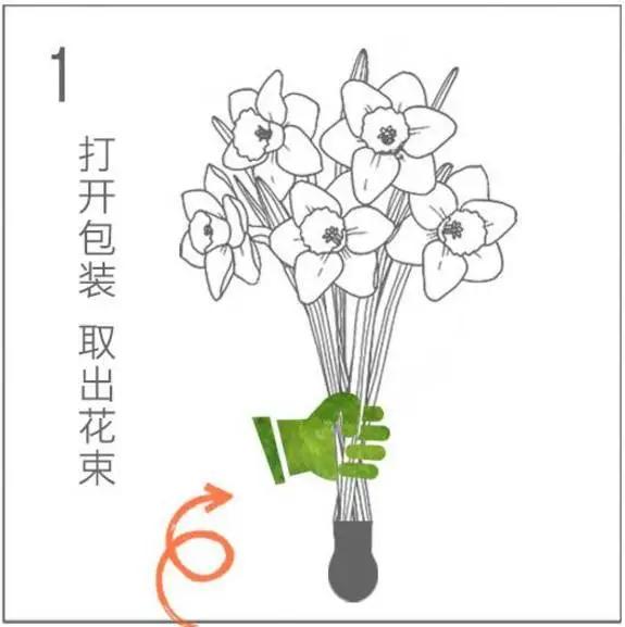剪刀剪去一枝花猜成语_七叶一枝花