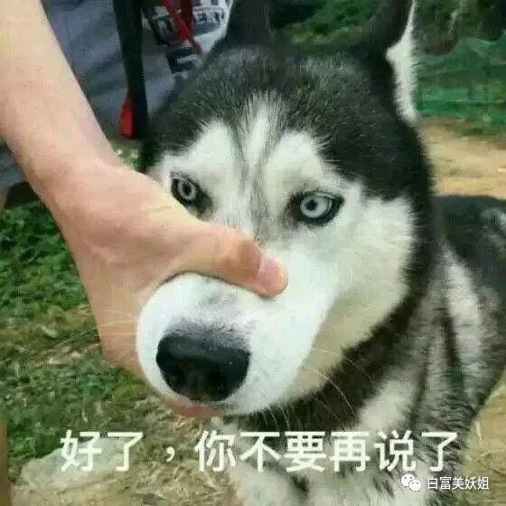 阿四|B站学霸网红靠一张脸赚百万，还让50w人酸她的爱情…