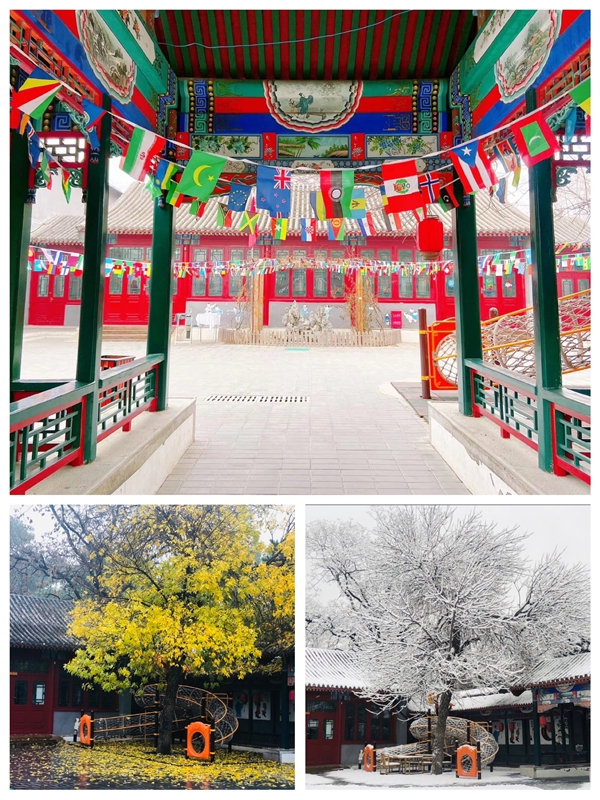 九月|探秘京城胡同里的九月四合院幼儿园