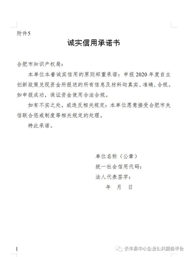 2020合肥上半年各市g_合肥肥西上派规划图