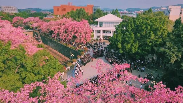 大学|注意!专插本4所大学要改名!毕业证大变化!